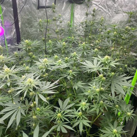 Baker bros  growlog timeline photo
