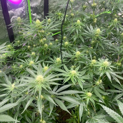 Baker bros  growlog timeline photo