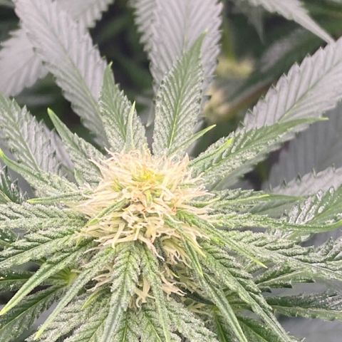 Baker bros  growlog timeline photo