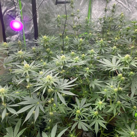 Baker bros  growlog timeline photo