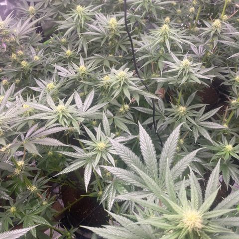 Baker bros  growlog timeline photo