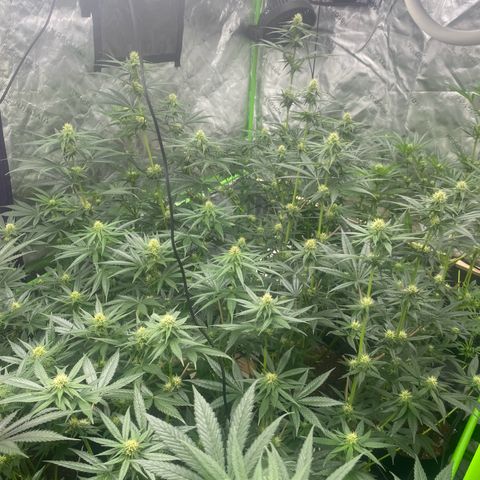 Baker bros  growlog timeline photo