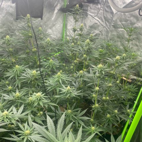 Baker bros  growlog timeline photo