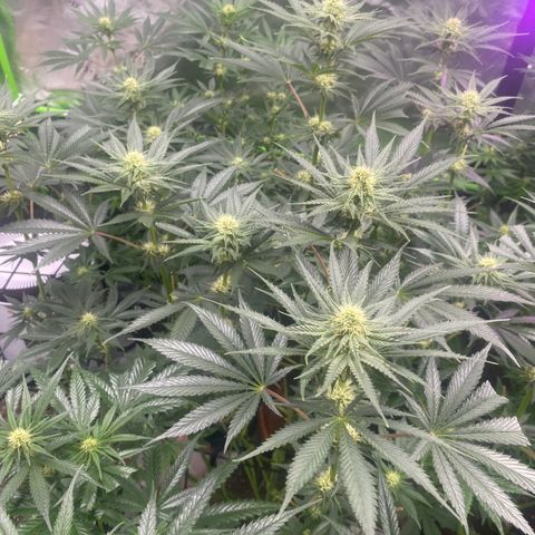 Baker bros  growlog timeline photo