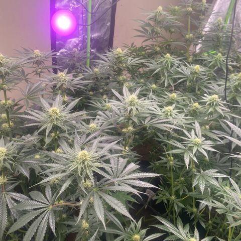 Baker bros  growlog timeline photo