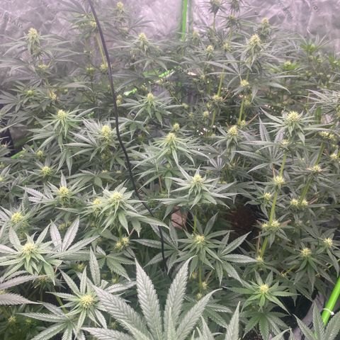 Baker bros  growlog timeline photo