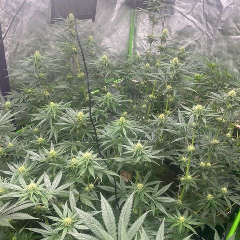 Baker bros  growlog timeline photo