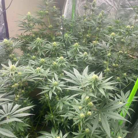 Baker bros  growlog timeline photo