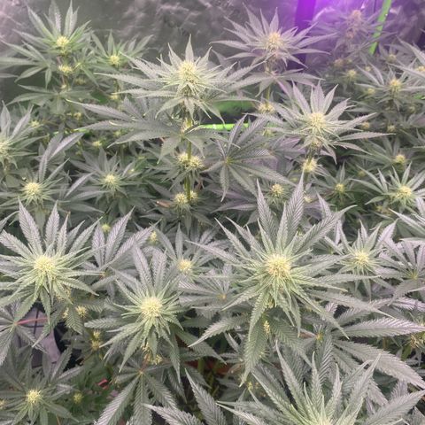 Baker bros  growlog timeline photo