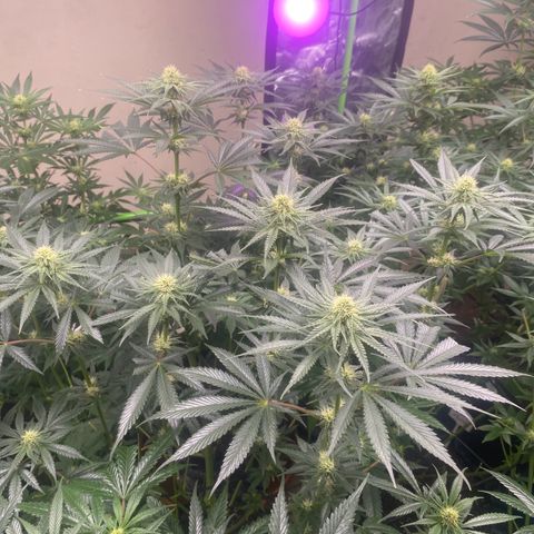 Baker bros  growlog timeline photo