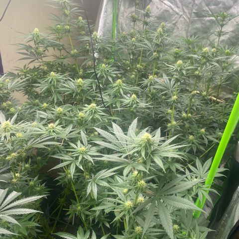 Baker bros  growlog timeline photo