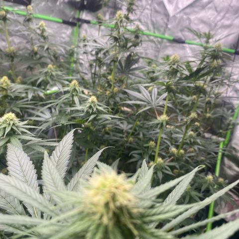 Baker bros  growlog timeline photo
