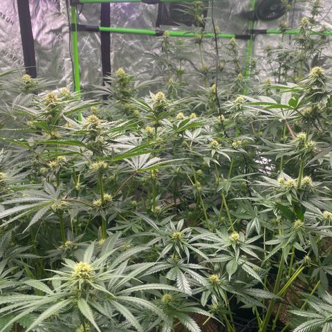 Baker bros  growlog timeline photo