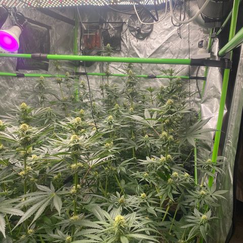 Baker bros  growlog timeline photo