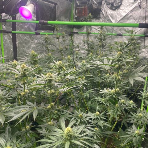 Baker bros  growlog timeline photo