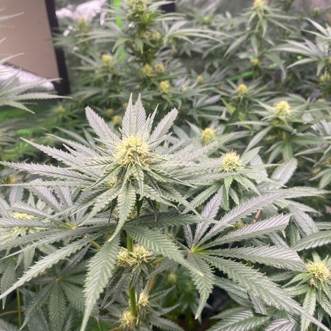 Baker bros  growlog timeline photo