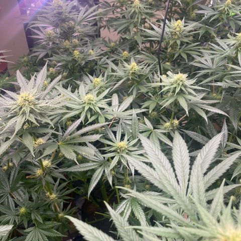 Baker bros  growlog timeline photo