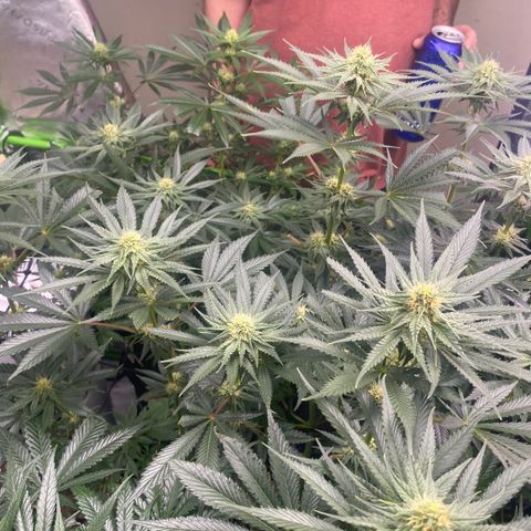 Baker bros  growlog timeline photo