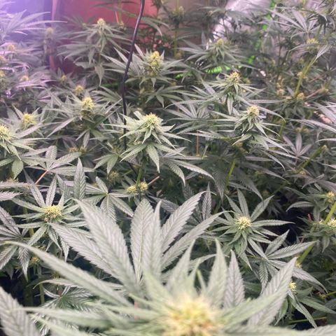 Baker bros  growlog timeline photo