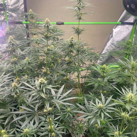 Baker bros  growlog timeline photo