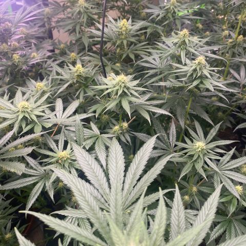 Baker bros  growlog timeline photo