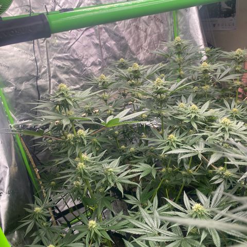 Baker bros  growlog timeline photo