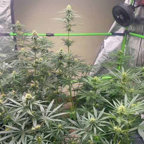 Baker bros  growlog timeline photo