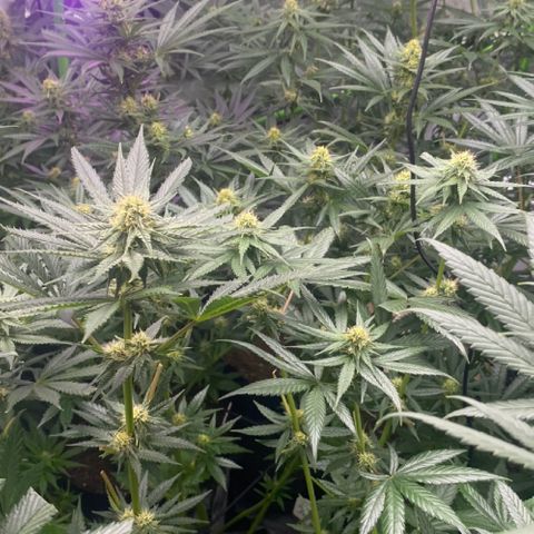 Baker bros  growlog timeline photo
