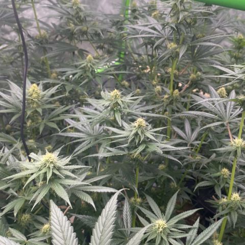 Baker bros  growlog timeline photo