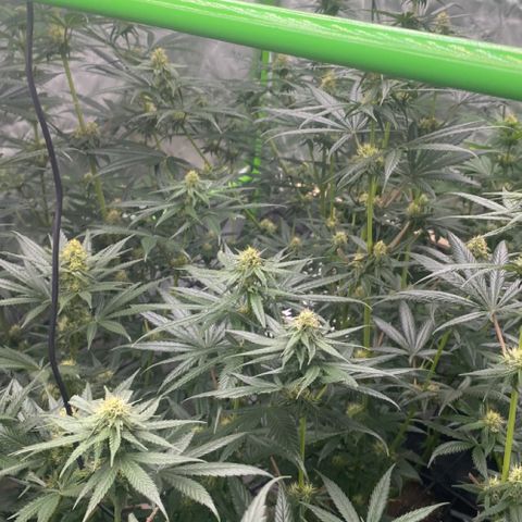 Baker bros  growlog timeline photo