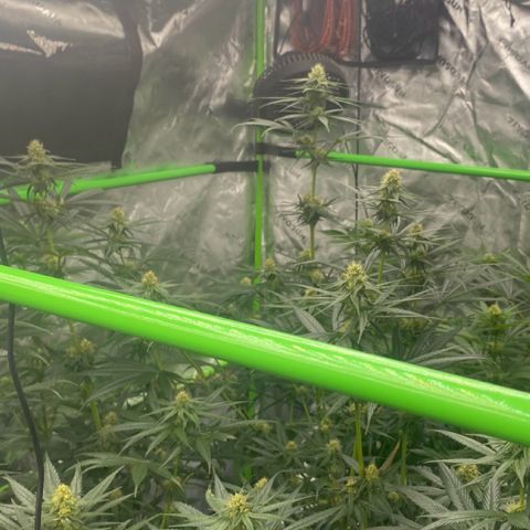 Baker bros  growlog timeline photo