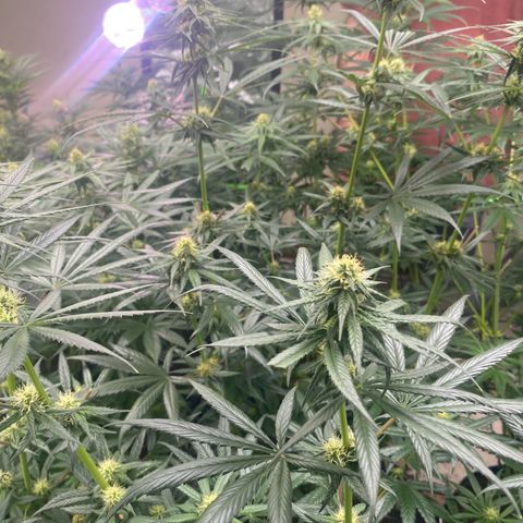 Baker bros  growlog timeline photo