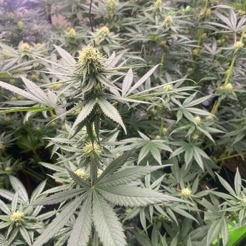 Baker bros  growlog timeline photo
