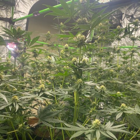 Baker bros  growlog timeline photo