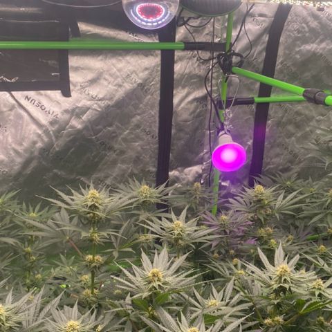 Baker bros  growlog timeline photo