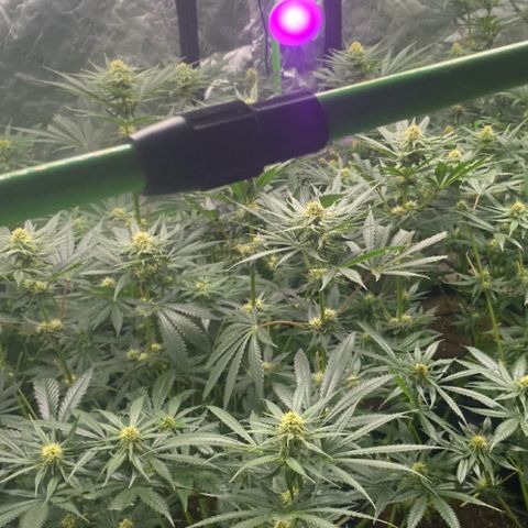 Baker bros  growlog timeline photo