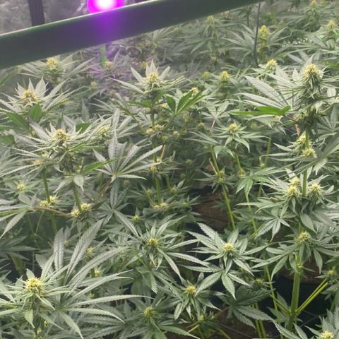 Baker bros  growlog timeline photo