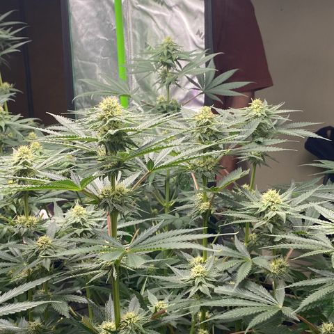 Baker bros  growlog timeline photo