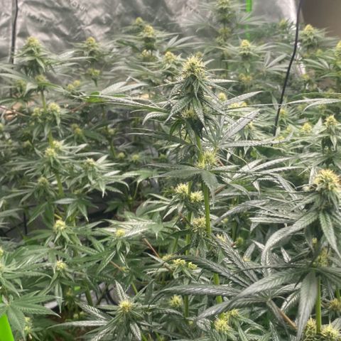 Baker bros  growlog timeline photo