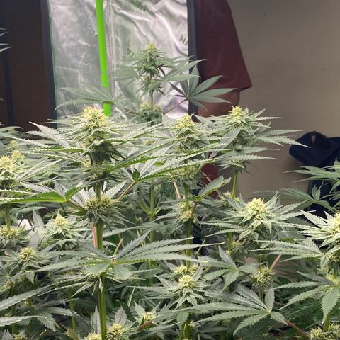 Baker bros  growlog timeline photo