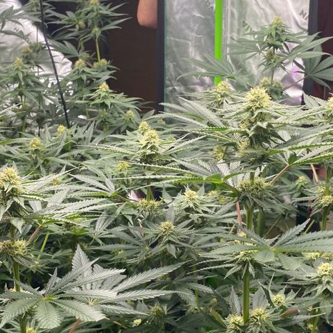 Baker bros  growlog timeline photo