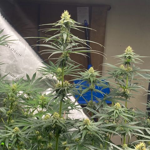 Baker bros  growlog timeline photo