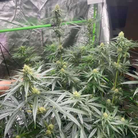 Baker bros  growlog timeline photo