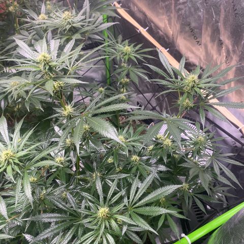 Baker bros  growlog timeline photo