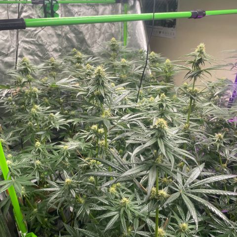 Baker bros  growlog timeline photo