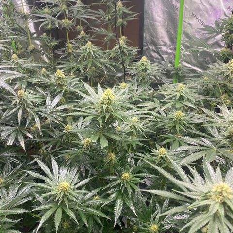 Baker bros  growlog timeline photo