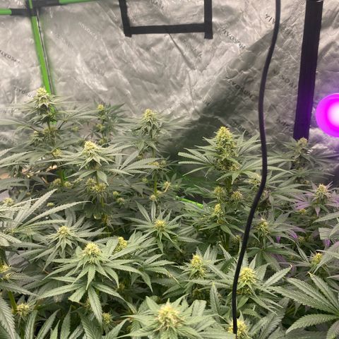 Baker bros  growlog timeline photo