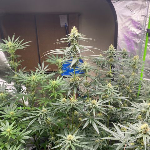 Baker bros  growlog timeline photo