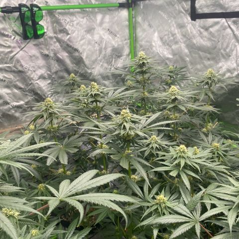 Baker bros  growlog timeline photo