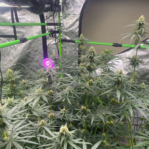 Baker bros  growlog timeline photo